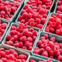 fresh raspberries are displayed in trays for sale